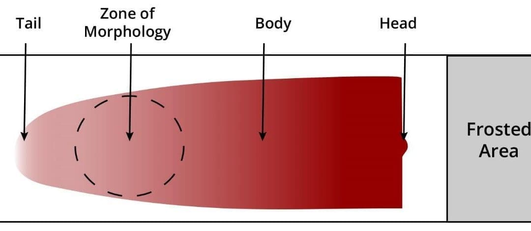 Preparation of Peripheral Blood Smears