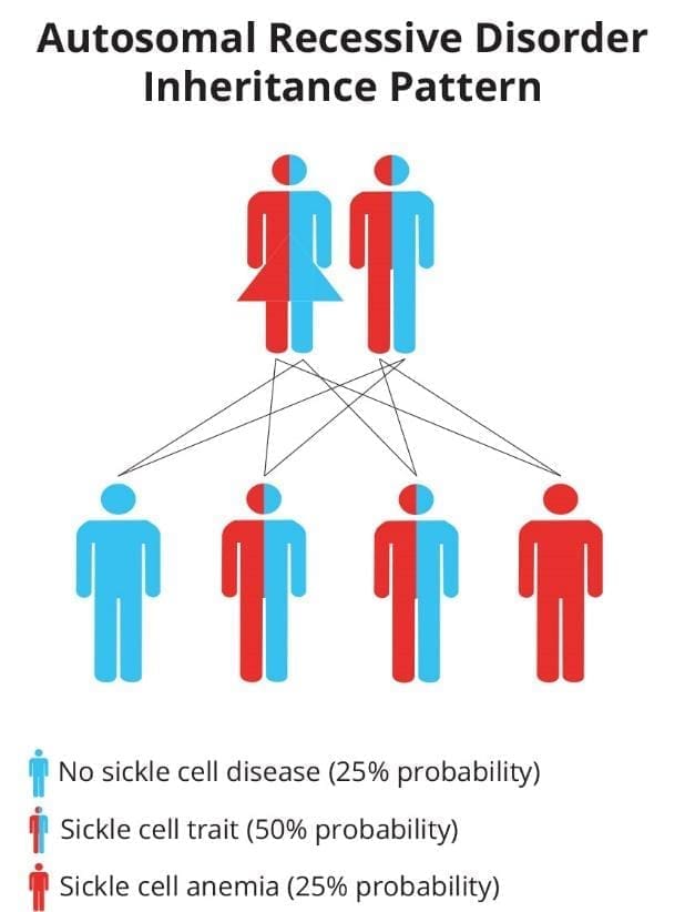 Image depicting an illustration of the autosomal recessive inheritance pattern highlighting the contribution of one mutated gene from each parent
