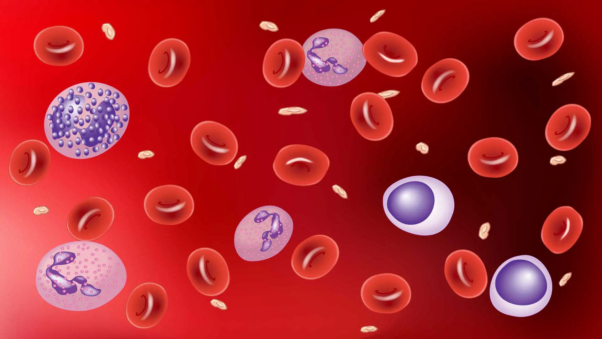 Hematology: An Exploration of Blood
