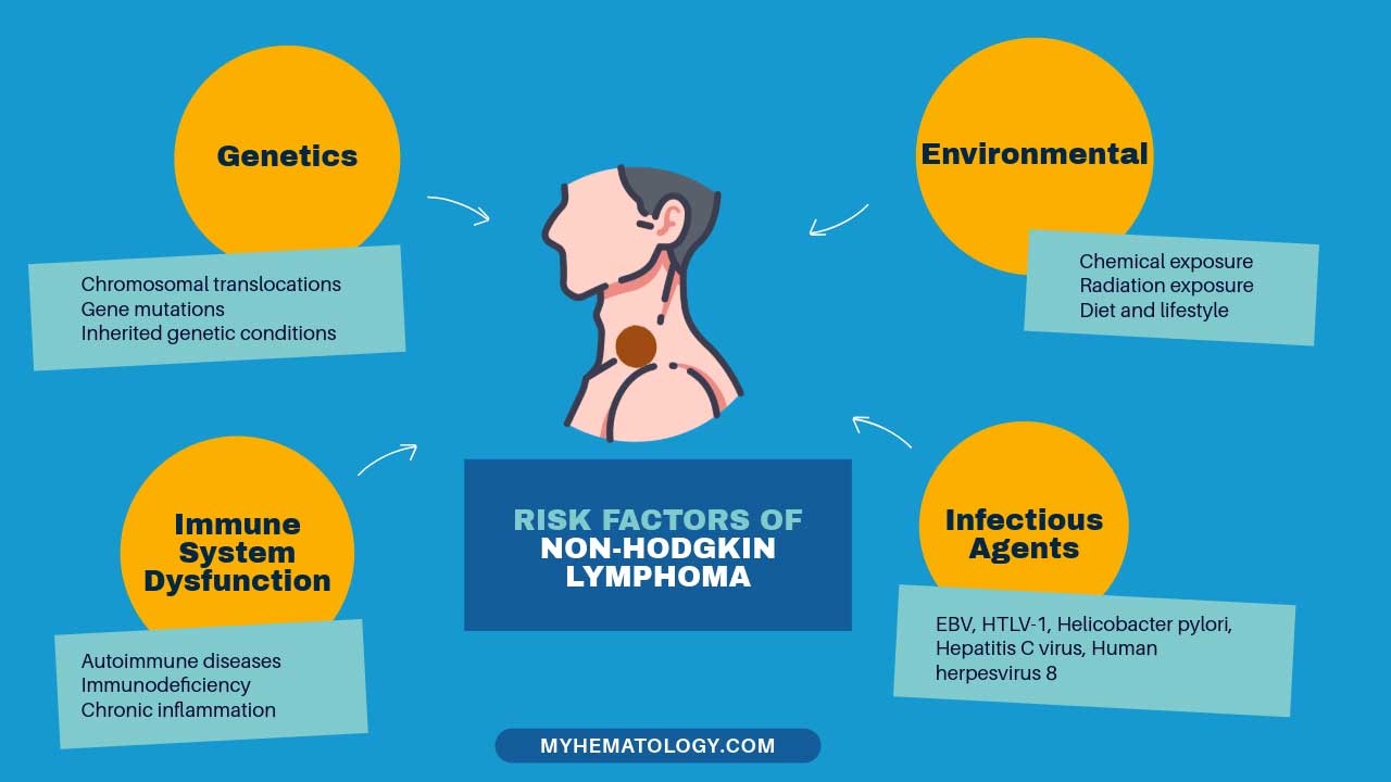 Infographic on the risk factors of non-Hodgkin lymphoma including genetics, environmental, immune system dysfunction and infectious agents.