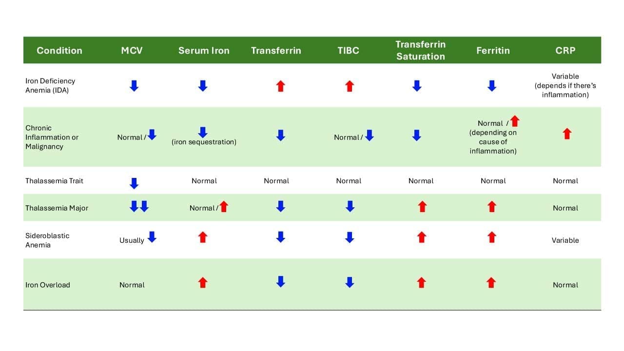 Iron Studies Interpretation: The Highs and Lows