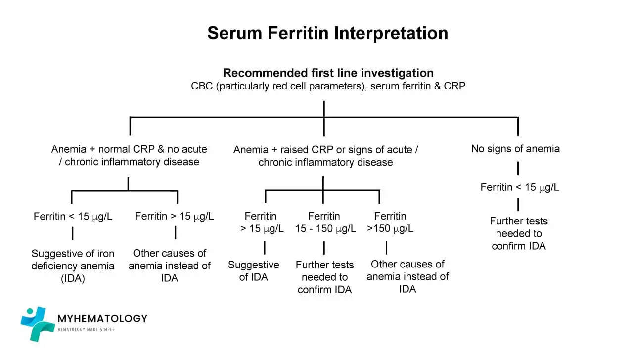 Serum ferritin interpretation schematic diagram. A high ferritin level usually indicates an iron overload. While a low ferritin level strongly suggests iron deficiency anemia.