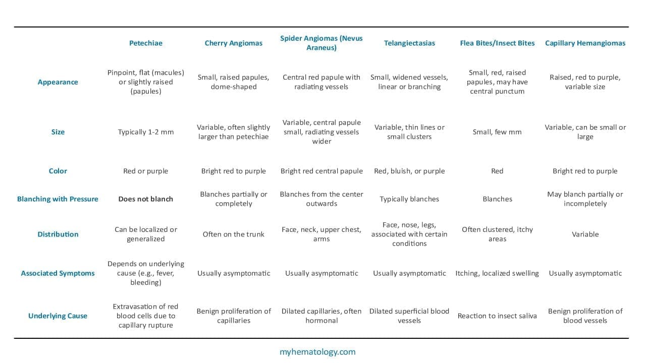 The differential diagnosis for petechiae and the key differences in the characteristics of petechiae compared to other similar diagnosis.