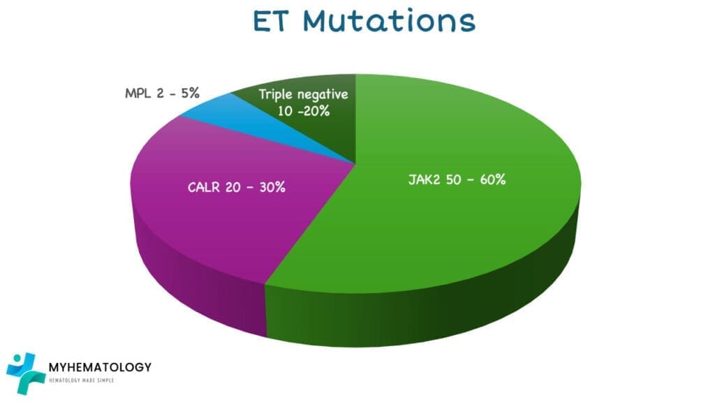 Common mutations of essential thrombocythemia include JAK2, CALR and MPL gene mutations.