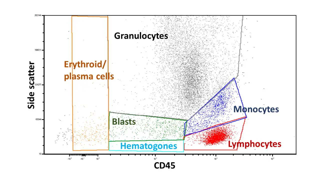 Flow Cytometry Immunophenotyping of Blood
