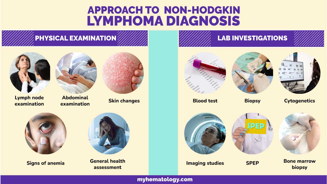 Infographic on non-Hodgkin lymphoma diagnosis approached including physical examination like lymph node palpation and laboratory investigations including blood tests, biopsy and cytogenetic testing.