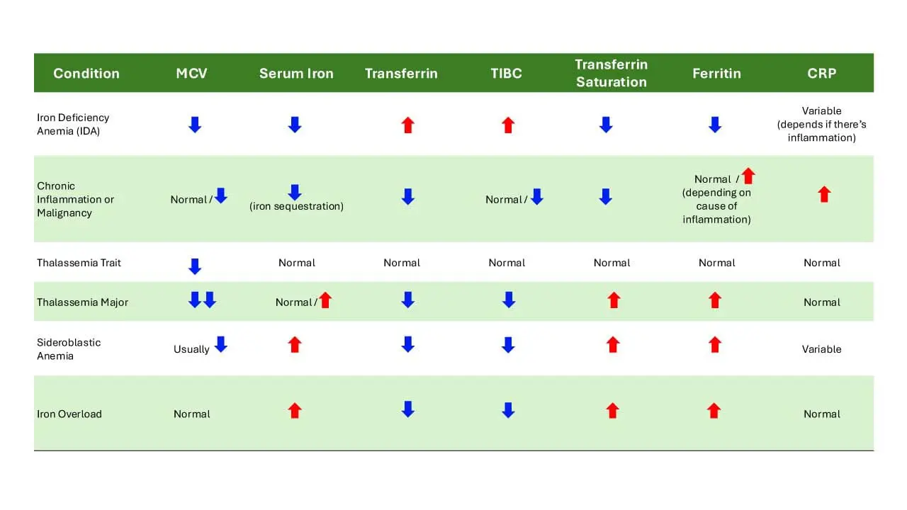 Iron Studies Interpretation: The Highs and Lows