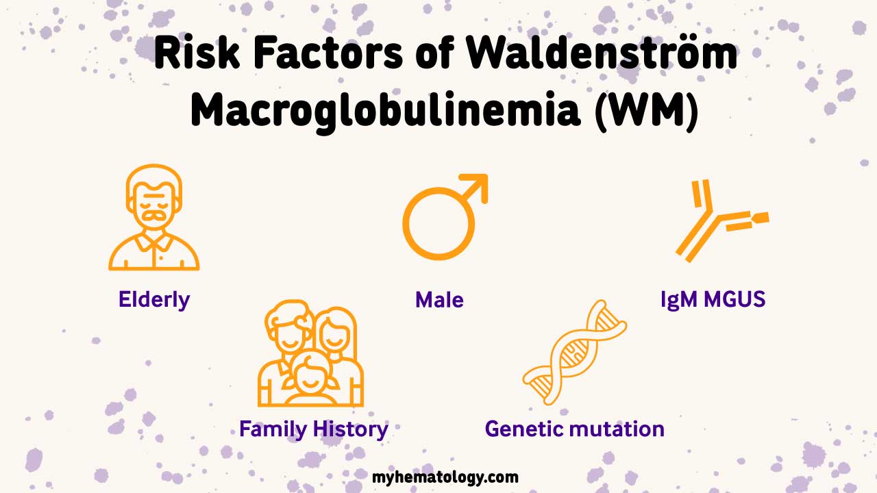 Risk factors of Waldenström Macroglobulinemia (WM)