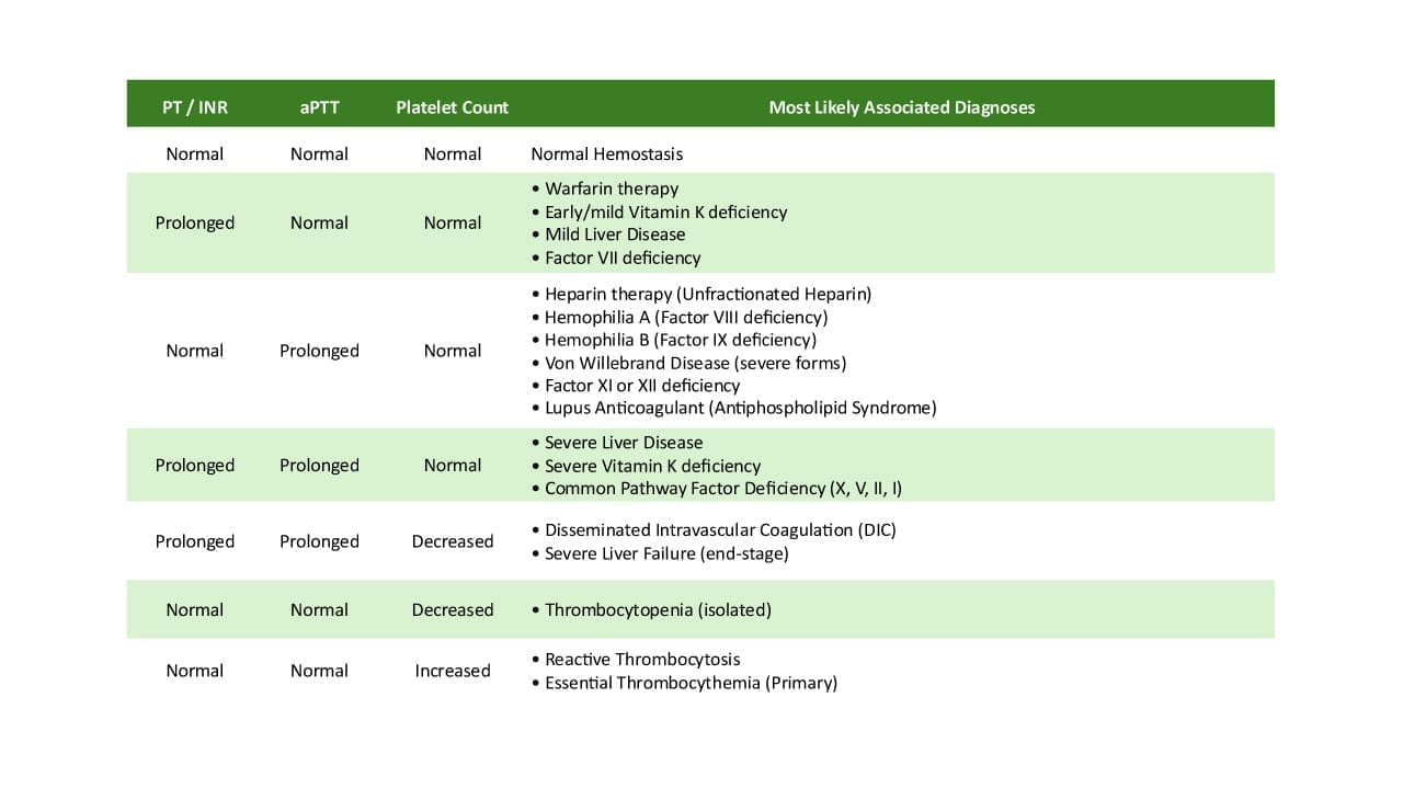 Coagulation Screening Panel Interpretation (Coagulation Panel)